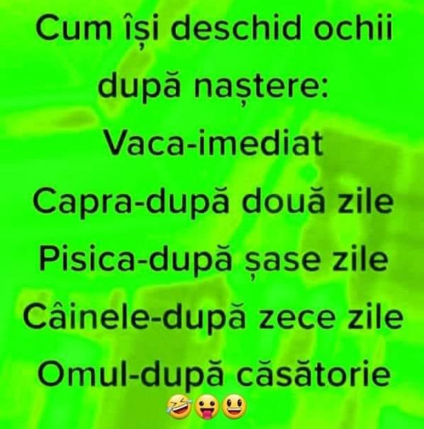  - Diverse 2