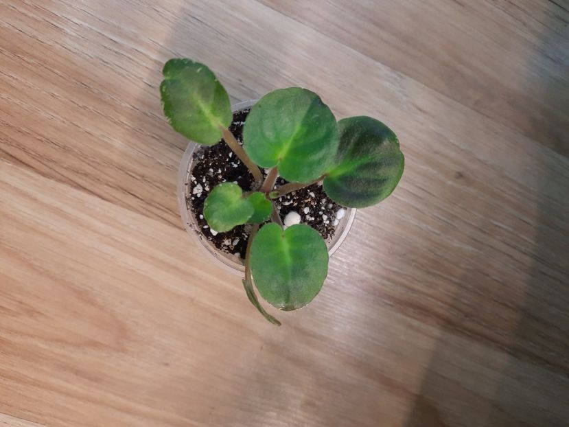  - Cajun s Wine Me Up