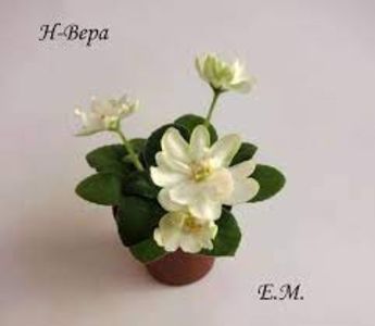 Н-Вера - N-Vera