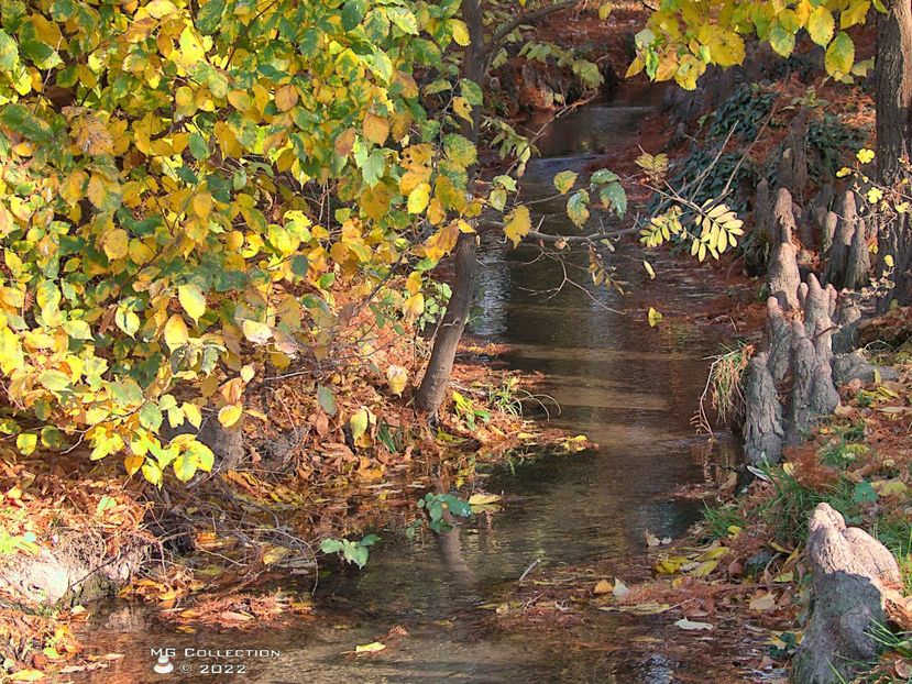 w-Toamna - Autumn landscape 1 - PEISAJE-PARCURI-PARKS-LANDSCAPES