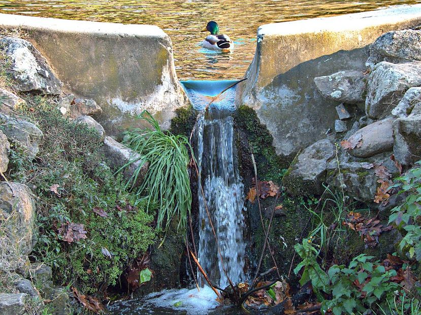 w-Cascada - Waterfall - PEISAJE-PARCURI-PARKS-LANDSCAPES