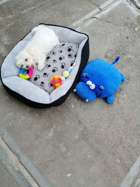  - Lord și Emma!