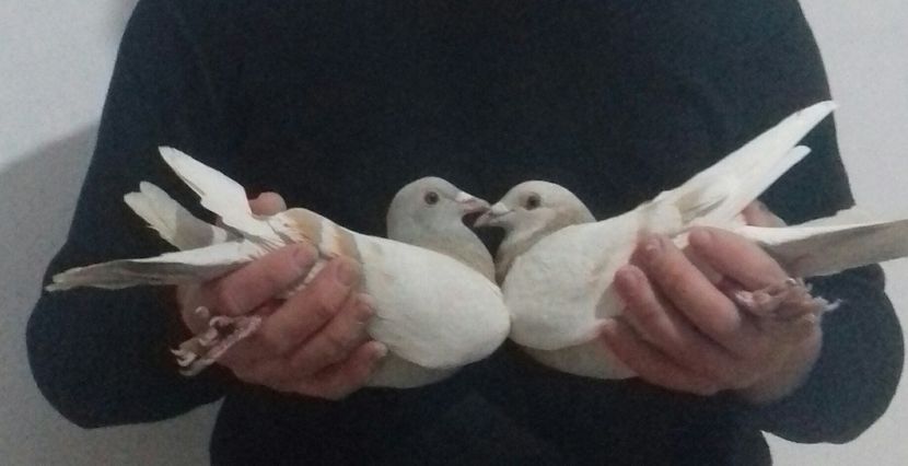 20221121_162736-1 - 2022