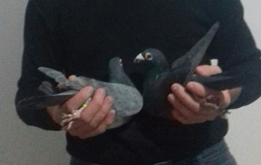 20221121_162944-1 - 2022