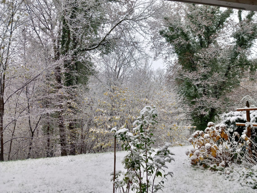  - 2022 - 04 - 2023 - 00 - Iarna