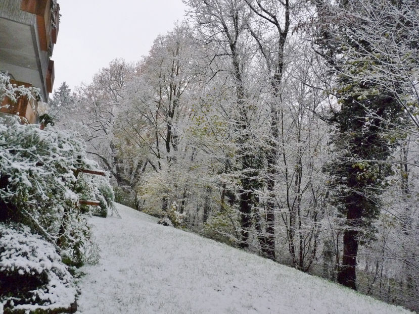  - 2022 - 04 - 2023 - 00 - Iarna