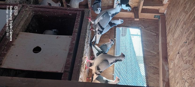  - Ce detin in prezent