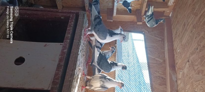  - Ce detin in prezent