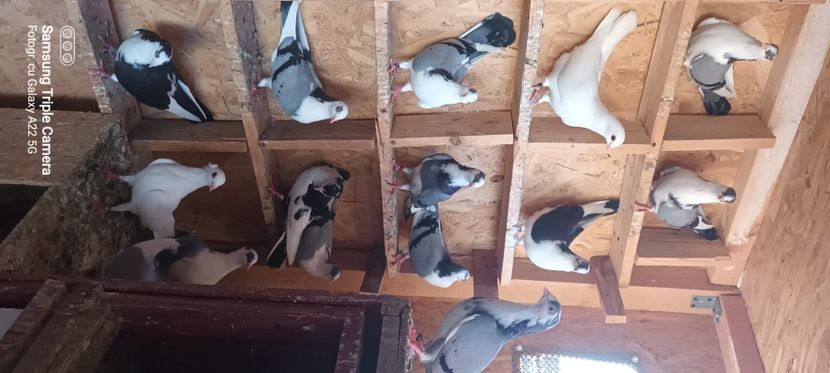  - Ce detin in prezent