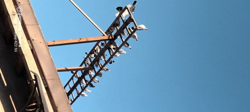  - Ce detin in prezent