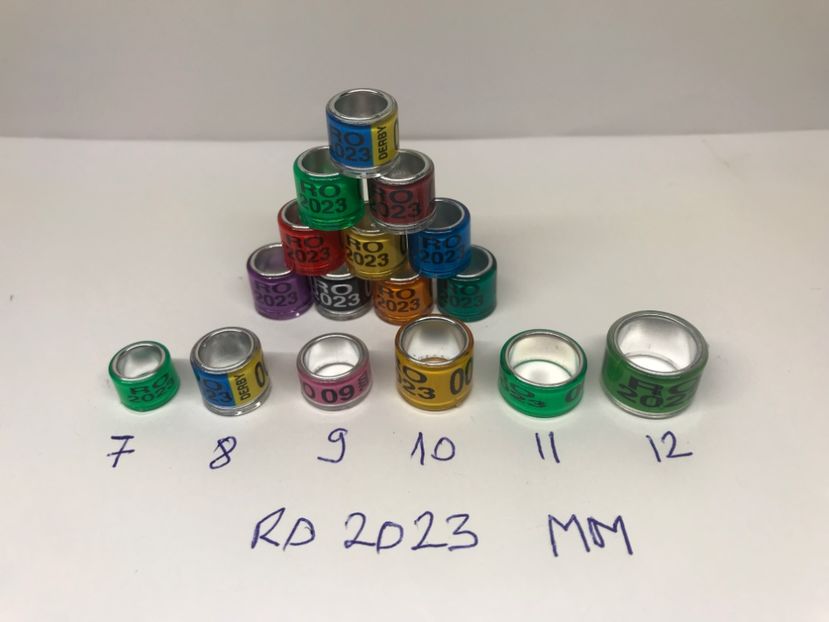 ECB29A3E-0A72-4A83-9E80-7F31AC0FC307 - 0 Inele porumbei 2023