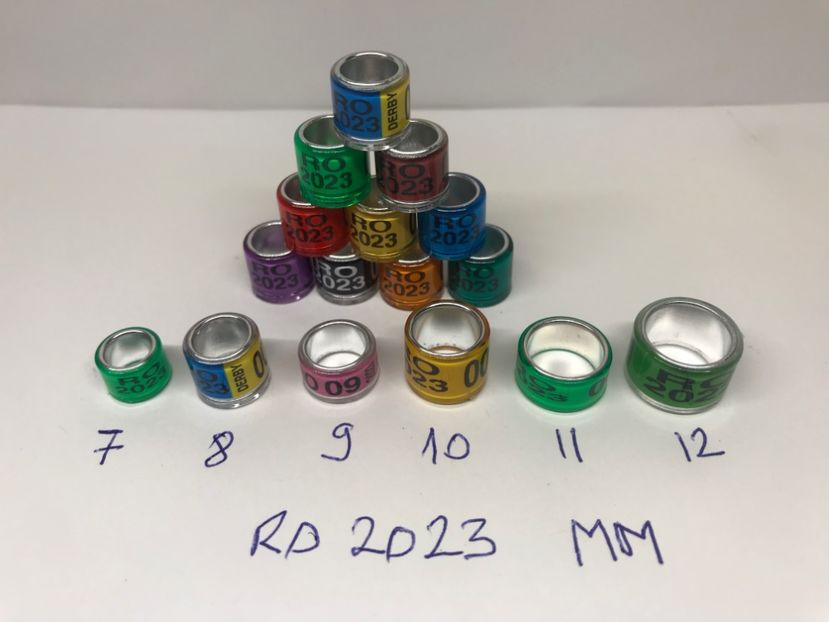 C746572E-82E9-4601-9751-2C6178657AEC - 0 Inele porumbei 2023