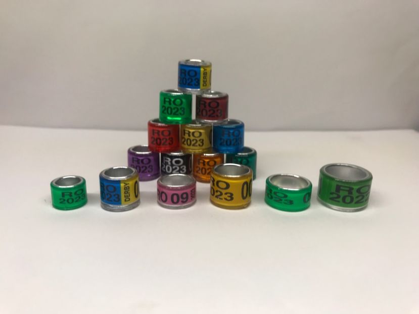 A4B1A1E5-337E-4C2D-9CC9-BF8DBB00A547 - 0 Inele porumbei 2023