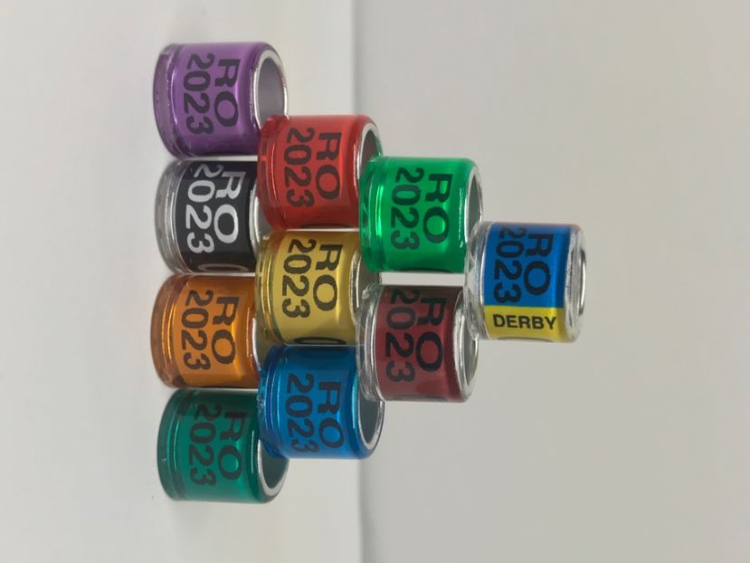 C0BD2D62-3986-40B5-8C2B-9EE84D1B3B9C - 0 Inele porumbei 2023