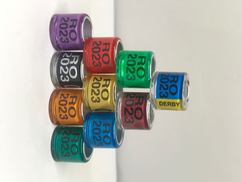 108F5D16-9AB6-4463-9E34-A611B56C6E86 - 0 Inele porumbei 2023