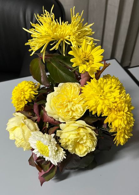 D0F16F2E-6B5E-4C6F-94C3-A8C0A6290806 - Aranjamente licheni și flori