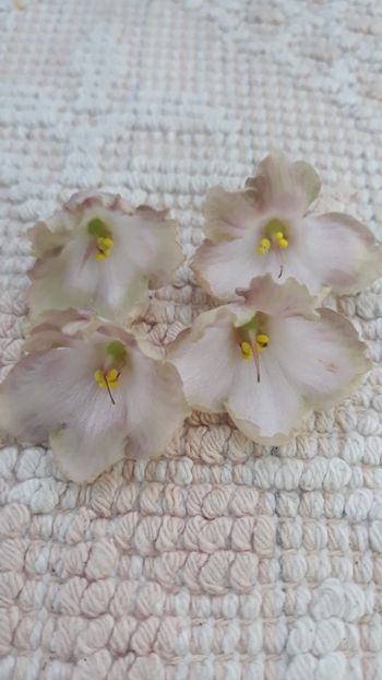 22 iun - AV Vechnostj