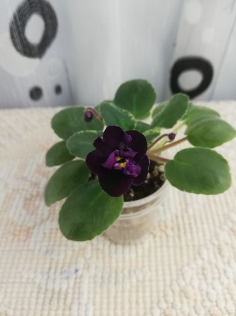 12 nov - Dark Night of the Soul