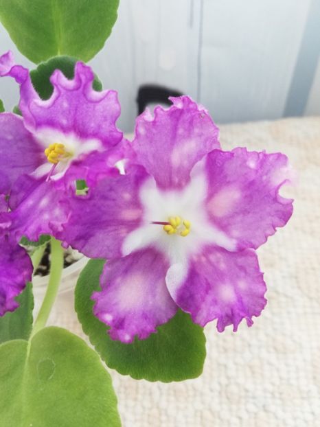 25 nov - LE Rain Melody