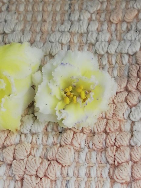 18 nov - LE Zoloto Nibelungov