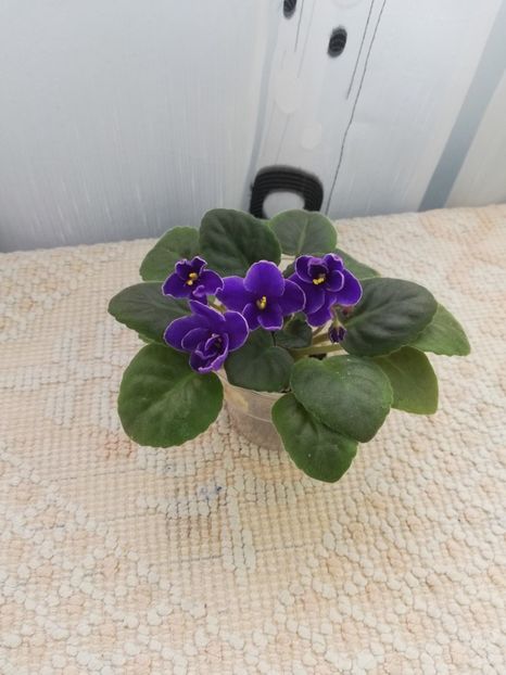 25 nov - NK Voloshkove Pole