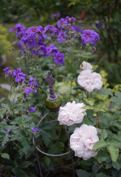  - Souvenir de la Malmaison