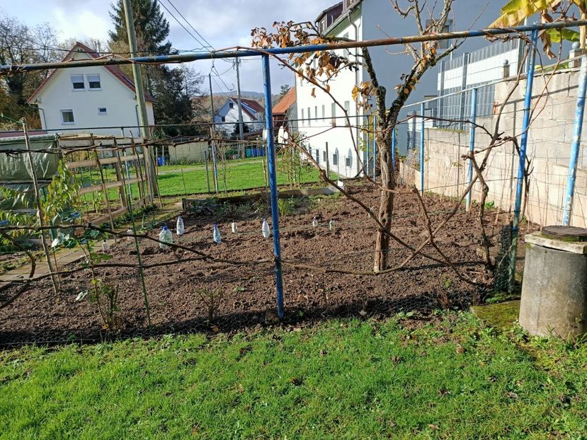 Img.2022.11.26 - A doua grădină