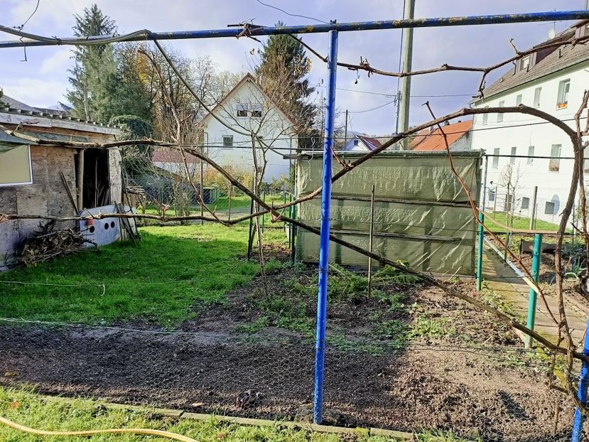 Img.2022.11.26 - A doua grădină