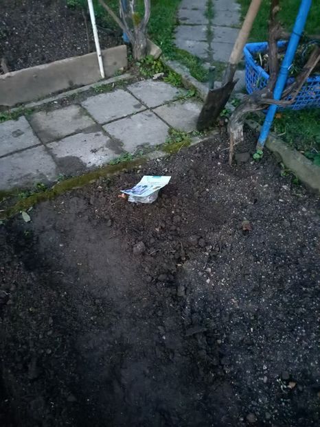 Img.2022.11.26 - A doua grădină