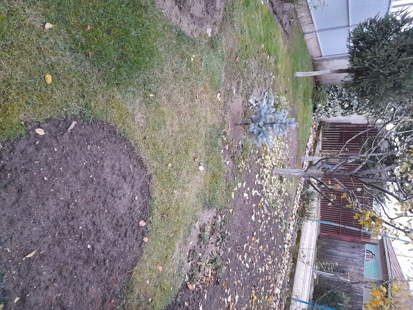  - 01 De prin curte si gradina