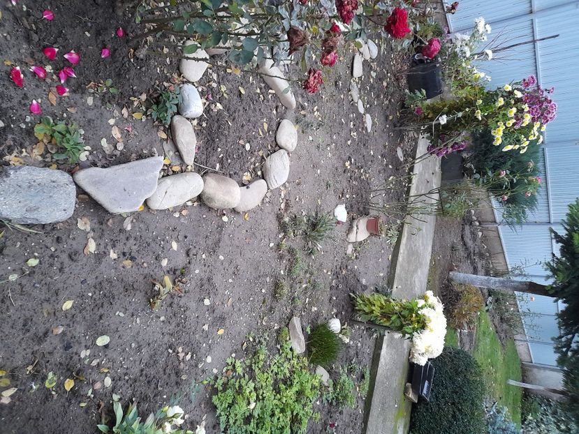  - 01 De prin curte si gradina