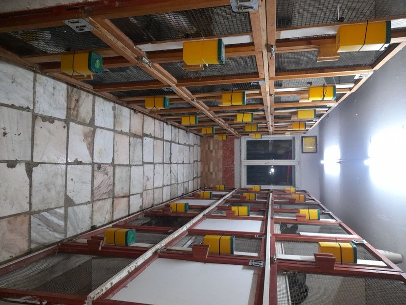  - NOUL ADĂPOST PENTRU IEPURAȘI