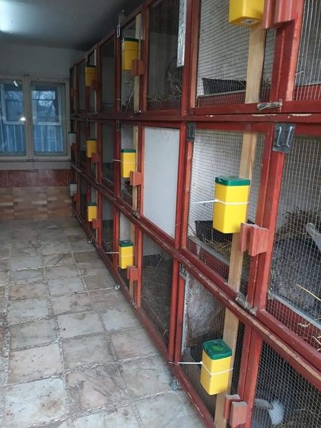  - NOUL ADĂPOST PENTRU IEPURAȘI