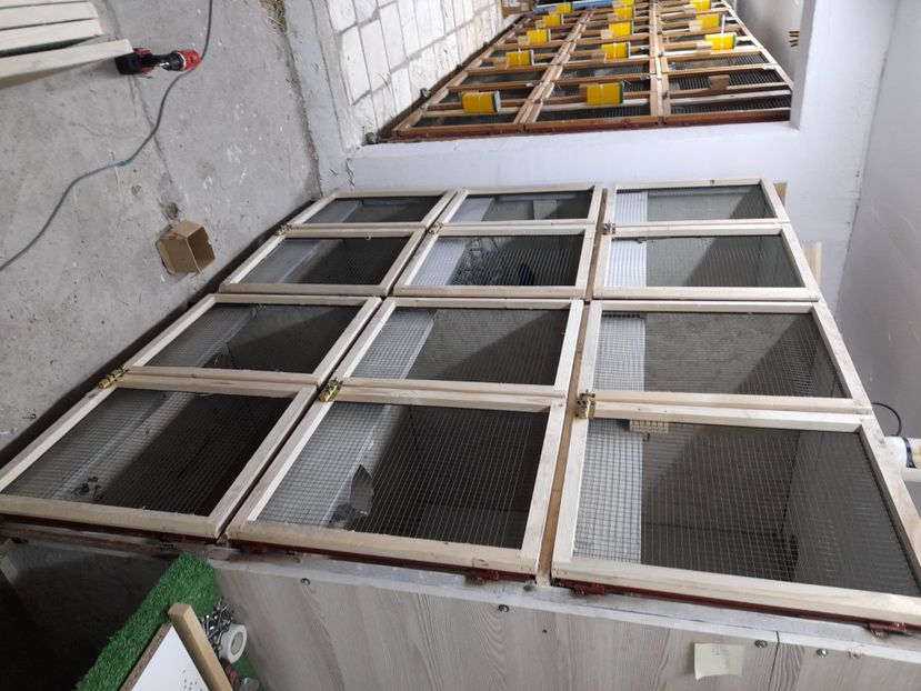  - NOUL ADĂPOST PENTRU IEPURAȘI