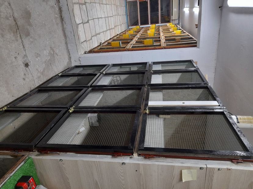  - NOUL ADĂPOST PENTRU IEPURAȘI