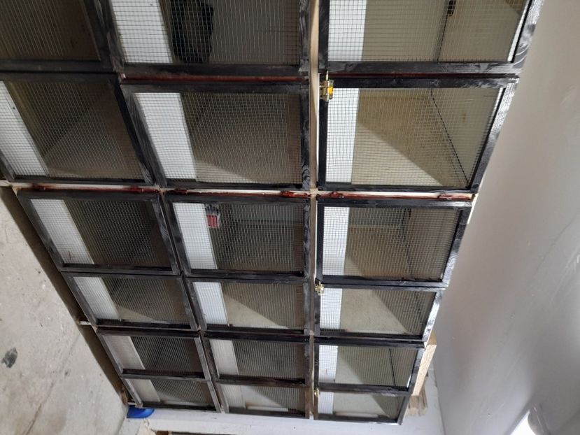  - NOUL ADĂPOST PENTRU IEPURAȘI