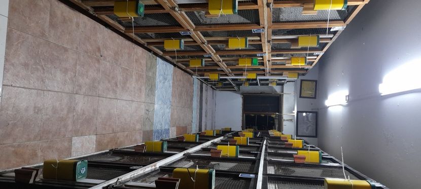  - NOUL ADĂPOST PENTRU IEPURAȘI