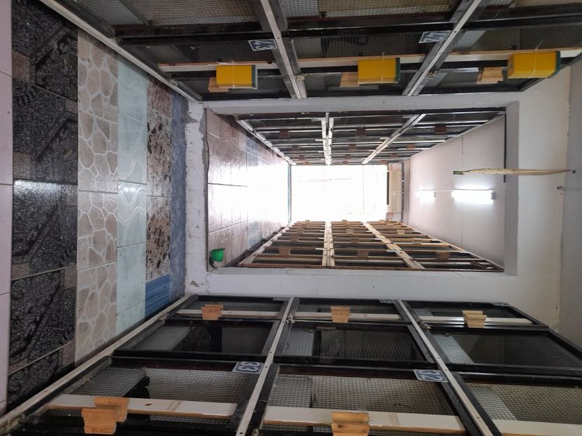  - NOUL ADĂPOST PENTRU IEPURAȘI