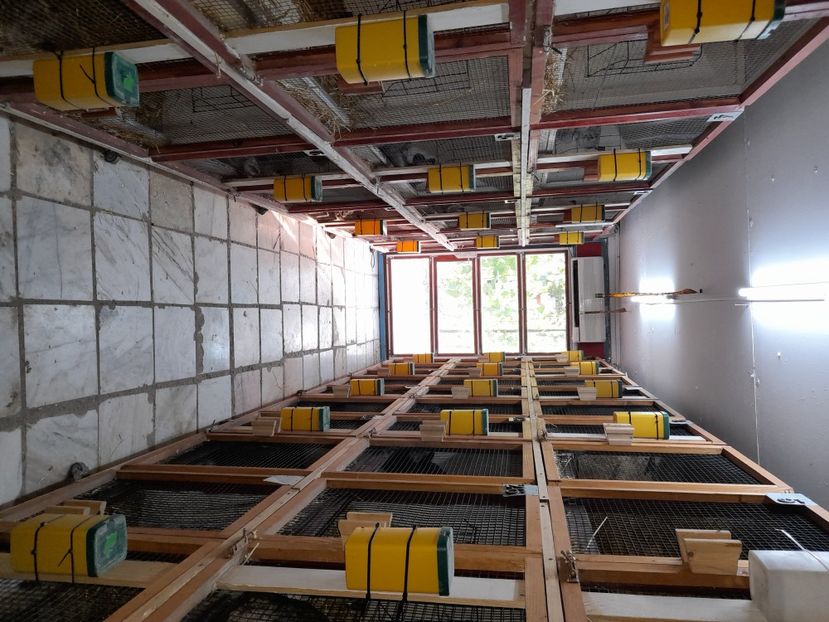  - NOUL ADĂPOST PENTRU IEPURAȘI