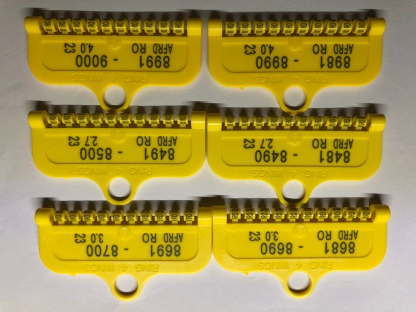 D248B8B9-58B8-4B56-8B77-A28AEE769CD8 - 0 Inele Ornament Asociatie AFRD 2023 cu talon