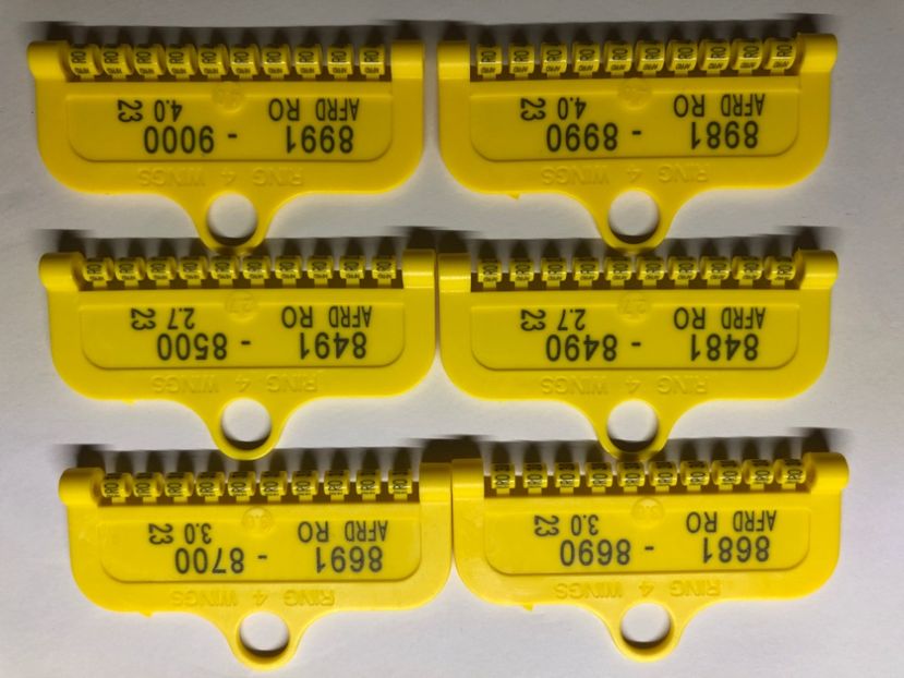 35079B66-563E-473C-9EC8-EE8A309A68CD - 0 Inele Ornament Asociatie AFRD 2023 cu talon