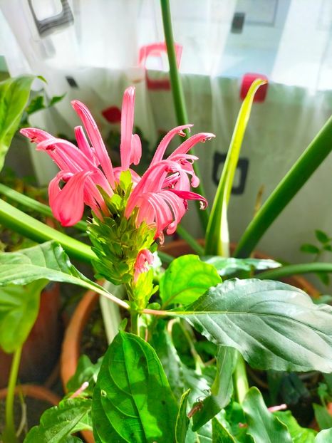 IMG20221119121248 - Noiembrie 2022