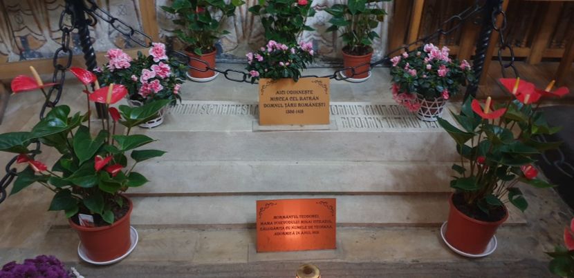  - Căciulata noiembrie 2022