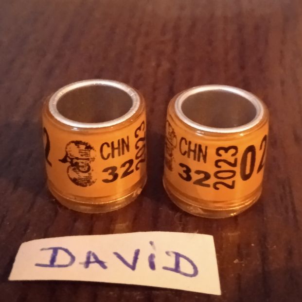 2023 - China fara talon ...-1 leu - Inele 2014