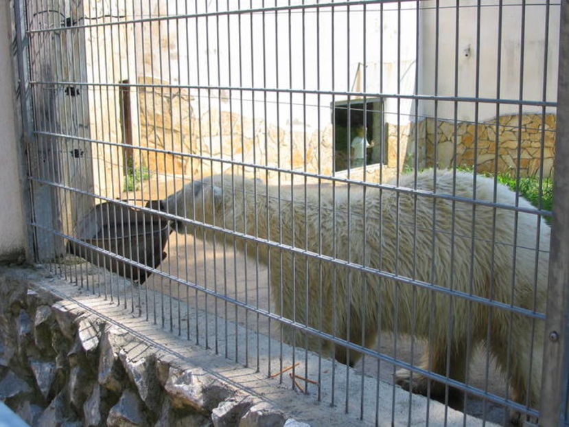 KISCLSOAPYSMXBAEXCH - distractie petrecere petrece