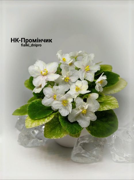 НК-Промiнчик - NK-Promichik