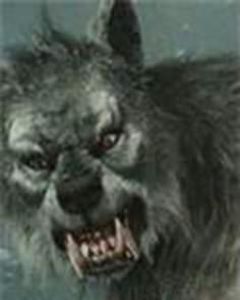 83989882_NQFPKBS3-1 - vibes