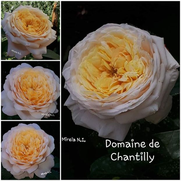  - Domaine de Chantilly