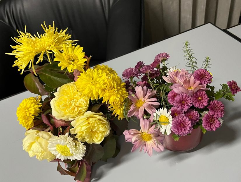 D1F0B00D-257D-49AB-90FC-D4F8085BF43E - Crizanteme 22 23 24