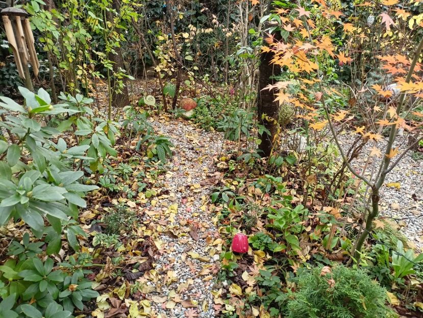  - Grădina 2022 continuare 5